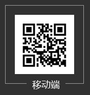 泰安市诚新机械设备租赁有限公司
